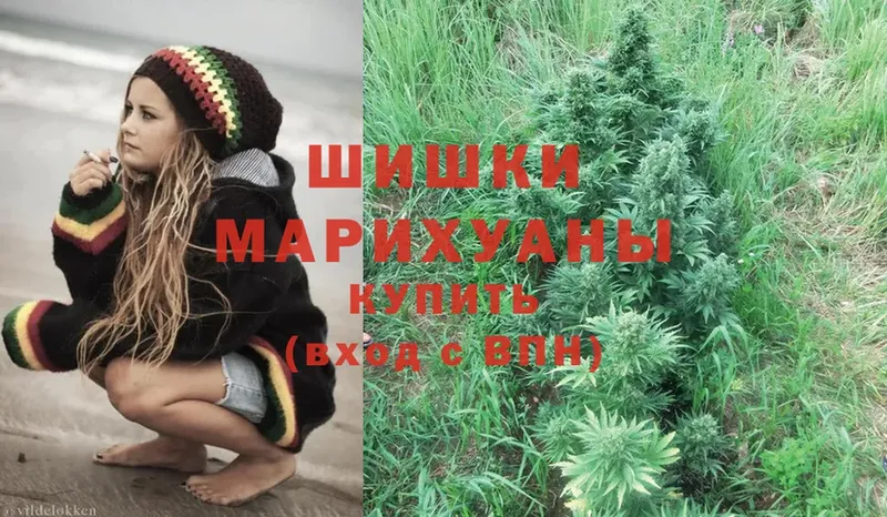 МАРИХУАНА SATIVA & INDICA  OMG ССЫЛКА  Семилуки  где купить наркоту 